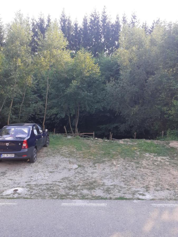 Pensiunea Denisa Căpăţîneni-Ungureni Bagian luar foto