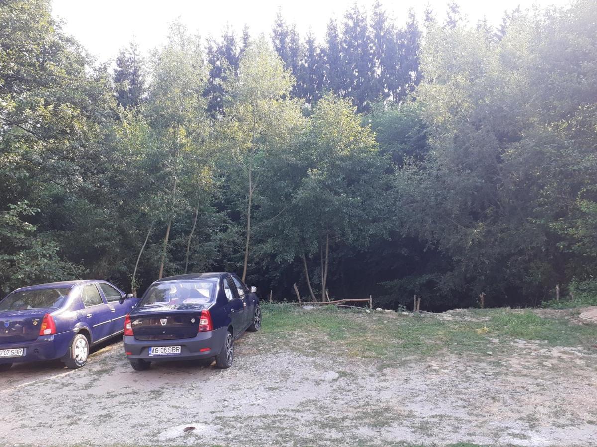 Pensiunea Denisa Căpăţîneni-Ungureni Bagian luar foto